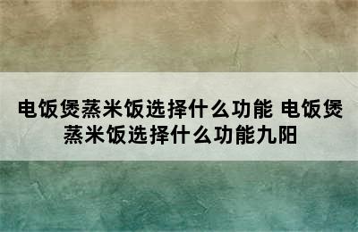 电饭煲蒸米饭选择什么功能 电饭煲蒸米饭选择什么功能九阳